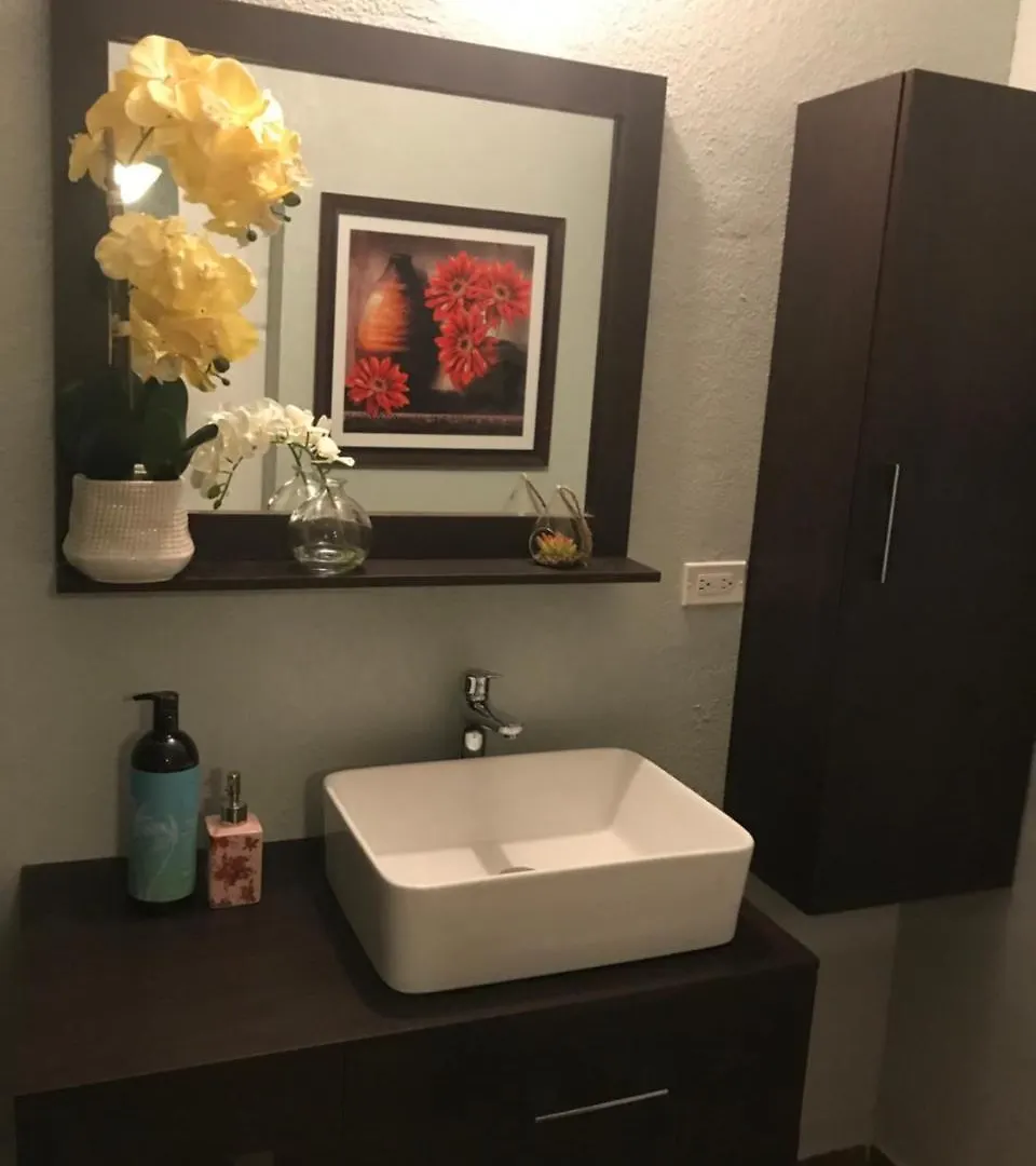 Apartment Abacus Jamaica The Zana Suites Kingston