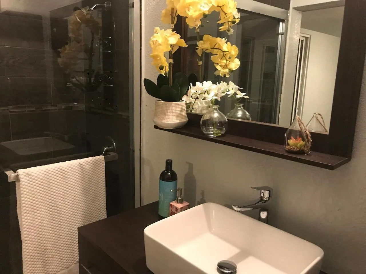 Abacus Jamaica The Zana Suites Kingston Apartment