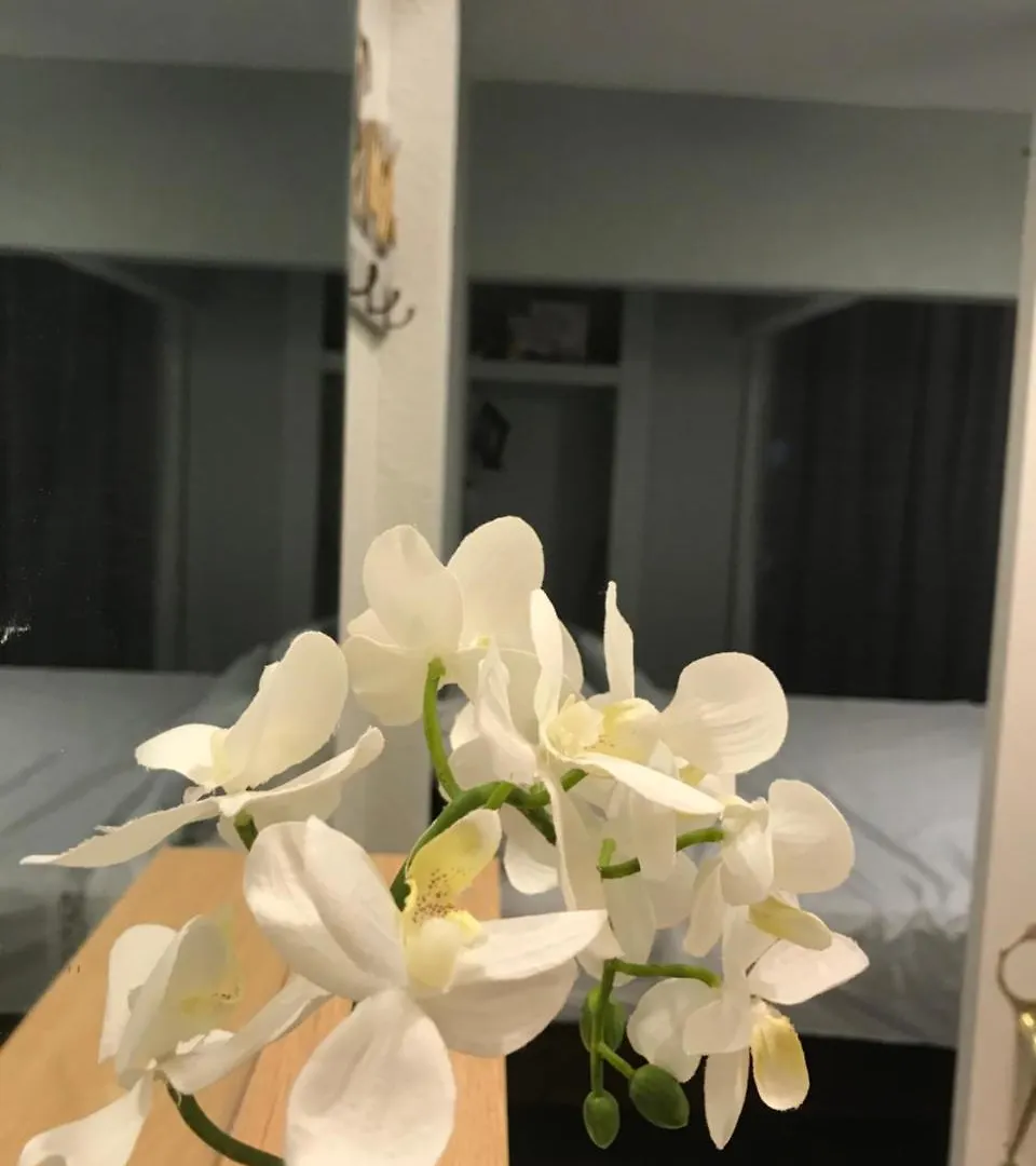 Abacus Jamaica The Zana Suites Kingston 0*,